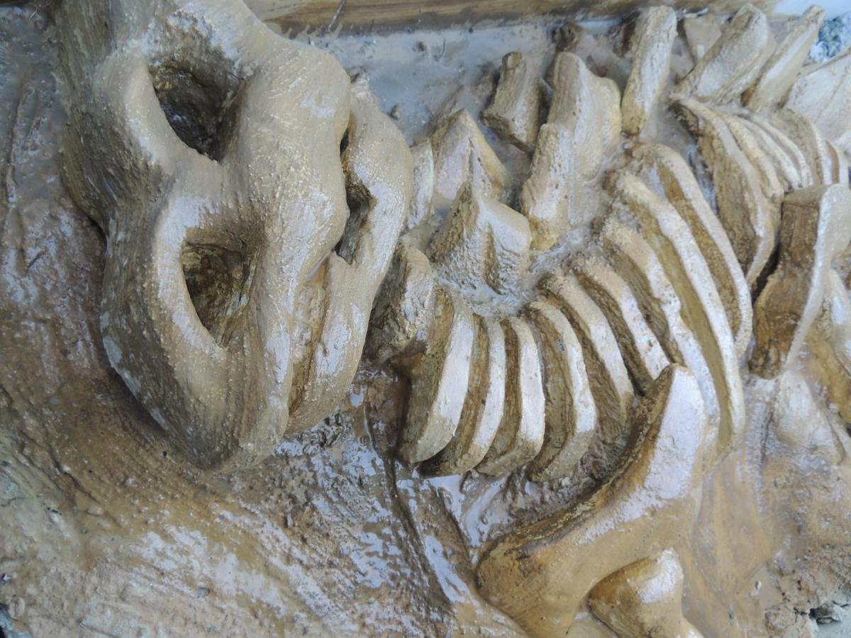 Hotel Recanto Dos Dinossauros Penha  Kültér fotó